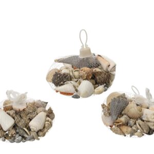 Conchiglia assortiti