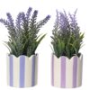 Lavanda in vaso in porcellana colori assortiti