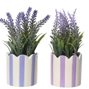 Lavanda in vaso in porcellana colori assortiti