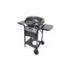 Barbecue a gas con 2 bruciatori